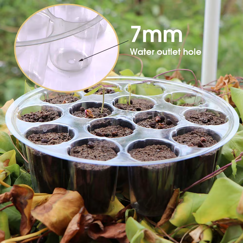 Boîte de Germination Ronde à 13 Cellules