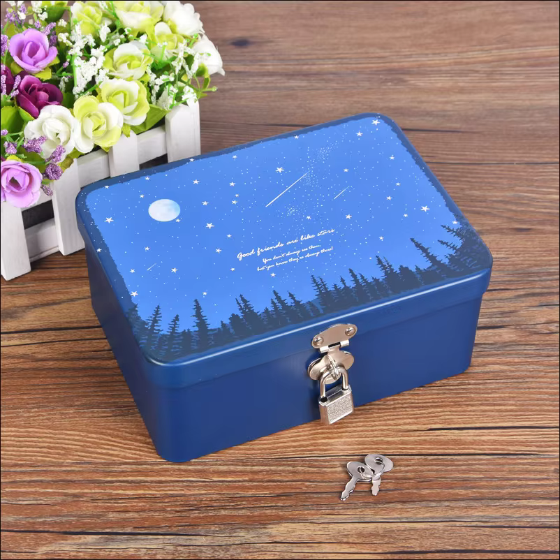 Petite boîte de rangement verrouillable pour cosmétiques et bijoux