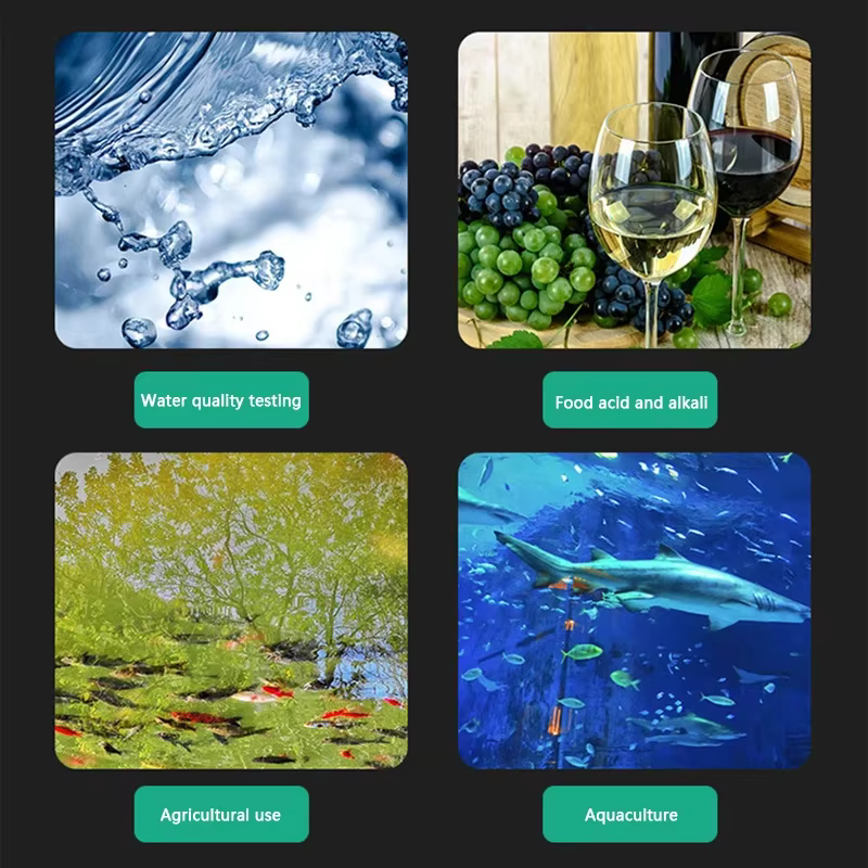 PH mètre numérique testeur de PH testeurs de qualité de l'eau dispositif de mesure de l'acidité piscine d'eau Aquarium hydroponique brassage à domicile 0-14pH