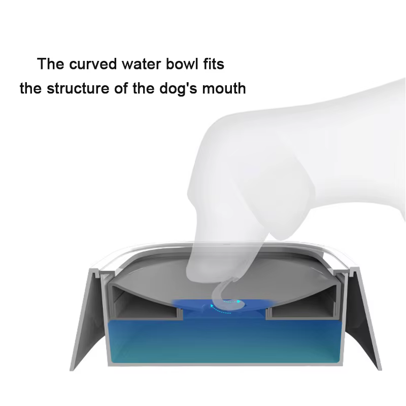 Bol d'eau potable pour chien