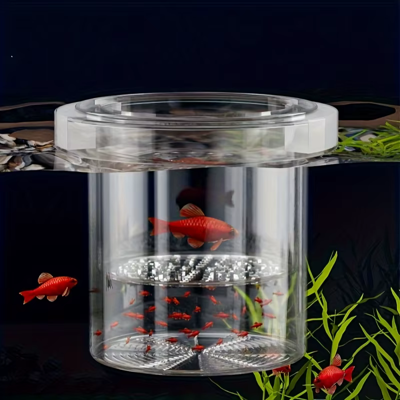 Boîte d'isolation flottante pour élevage de poissons