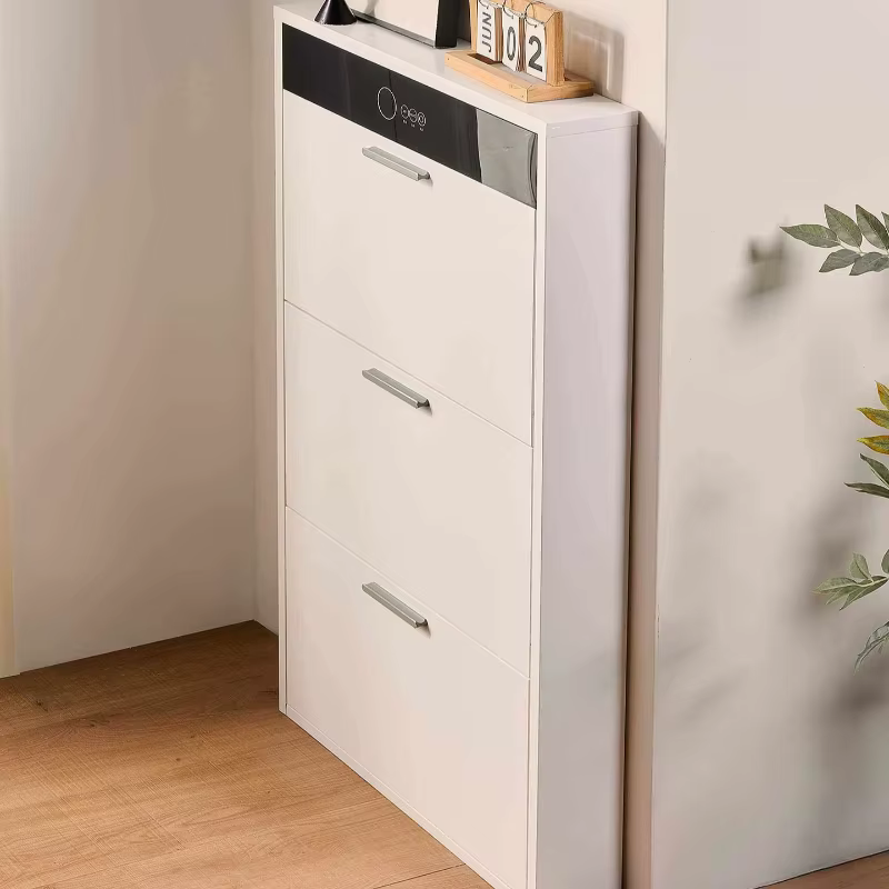 Meubles de rangement pour chaussures : étagères de balcon, organisateurs, cloisons, armoires, meubles d'entrée, de bureau, Zapatera, pour la maison