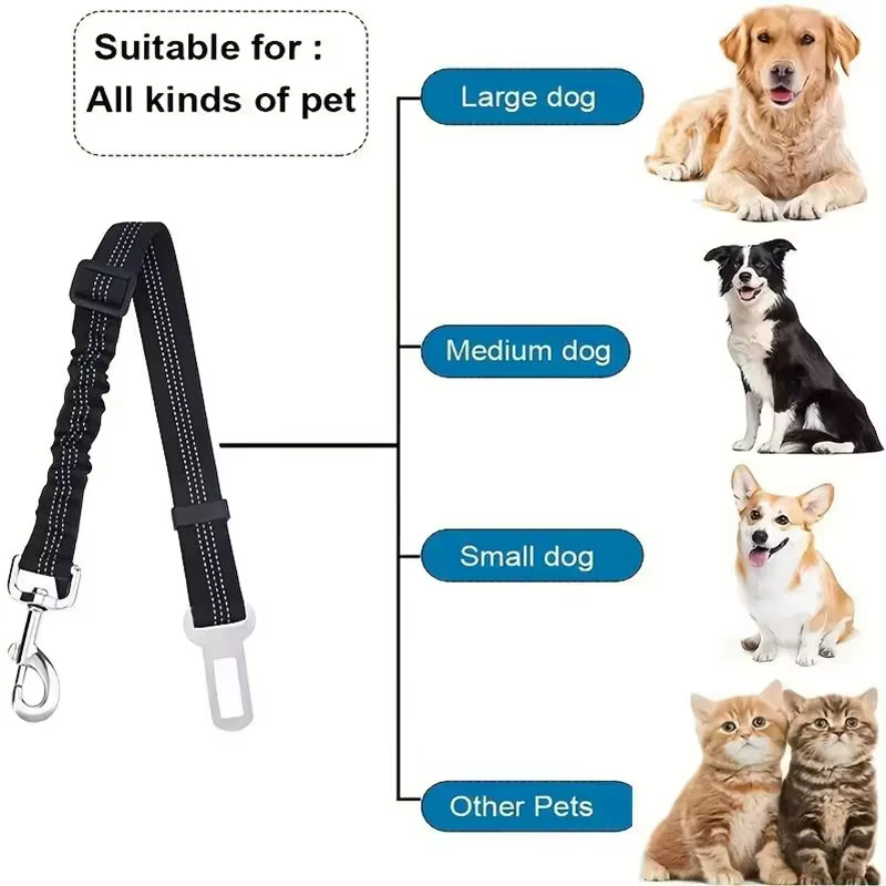 Ceinture de sécurité pour animaux de compagnie