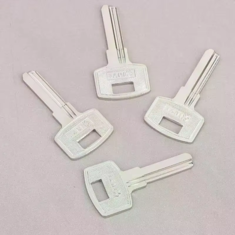 10 PCS/LOT Clé vierge FAV1D Baili à double fente