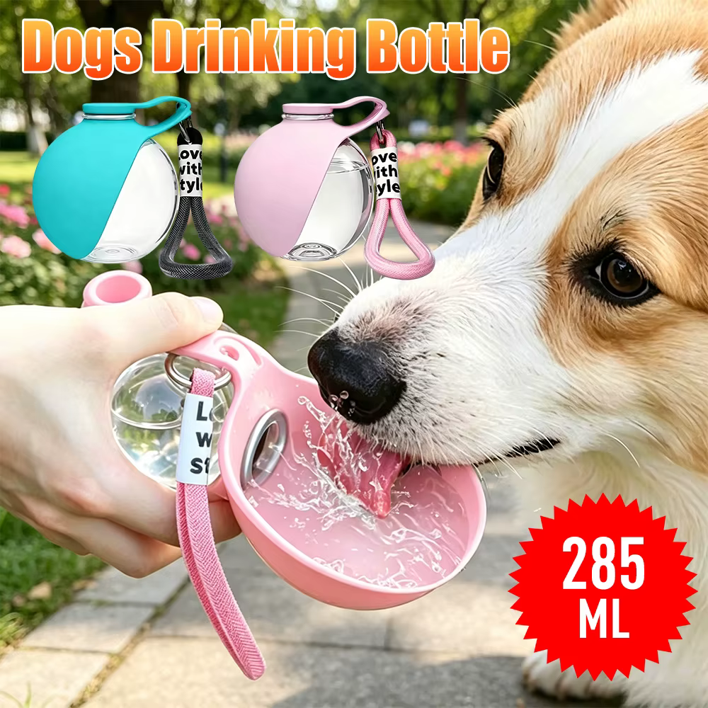 Bouteille d'eau pour chien 2 en 1 avec crochet de suspension