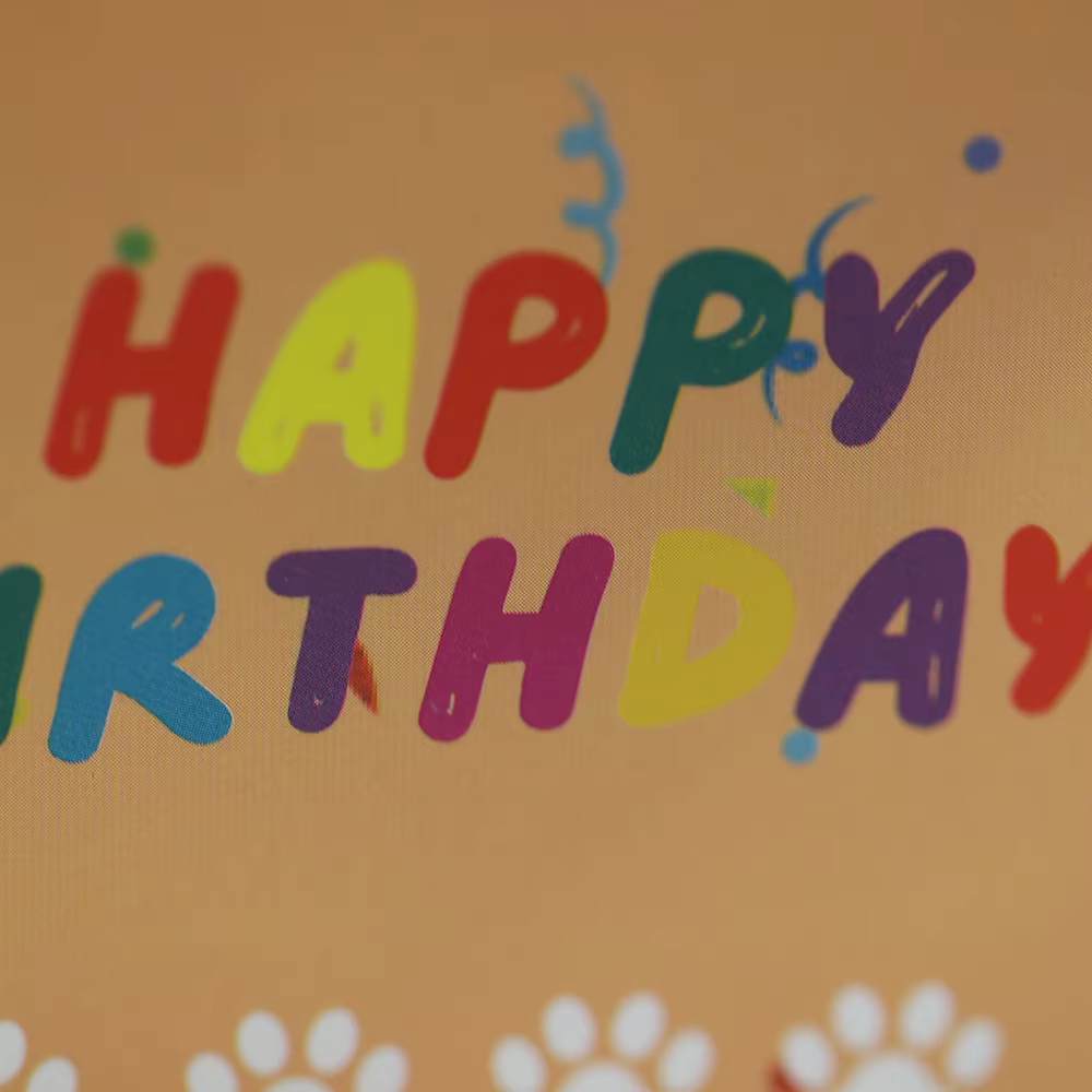 Carte d'anniversaire Pop-Up drôle joyeux anniversaire