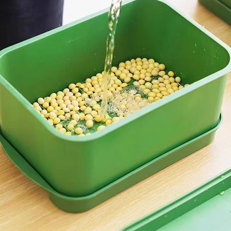 (.) Plateau de germination pour graines
