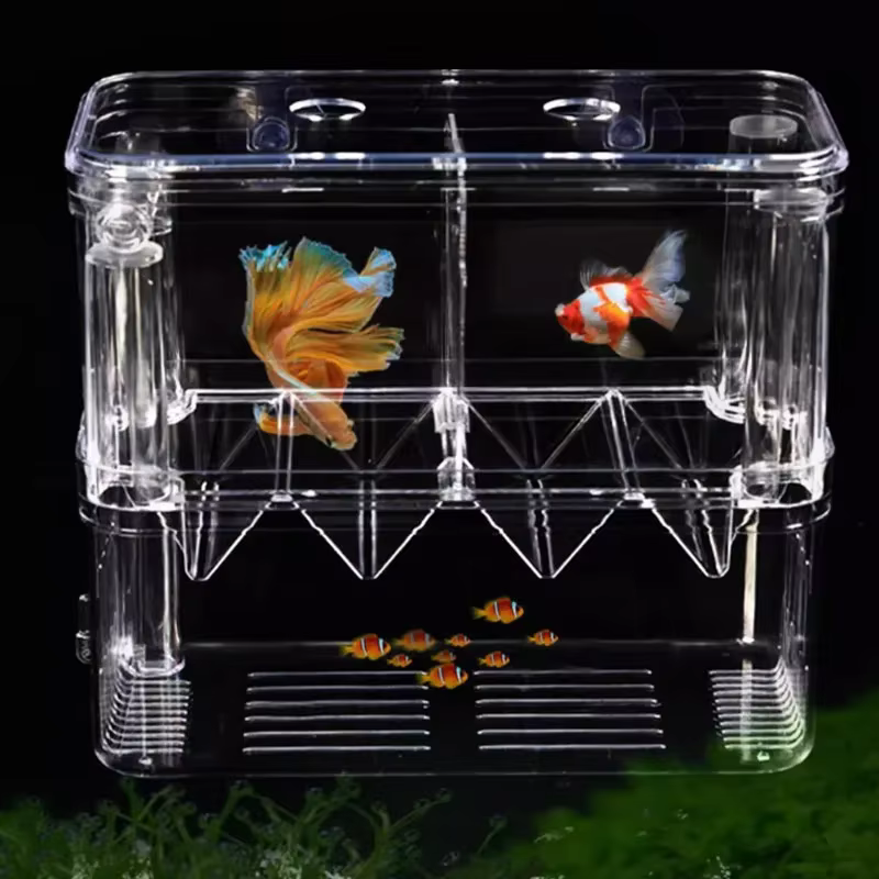 Boîte d'élevage de poissons d'aquarium
