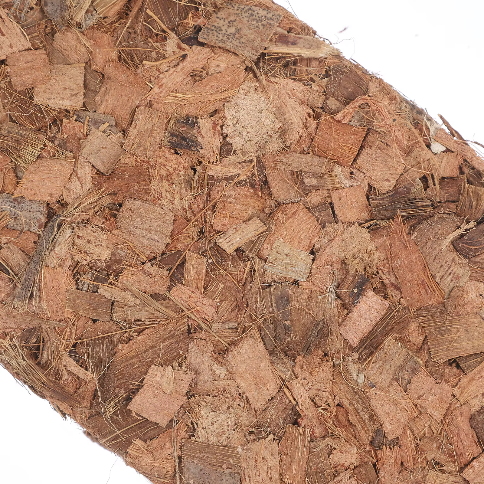Bloc de terreau nutritif en fibre de coco pour pépinière, idéal pour le repiquage facile, rétention d'humidité, riche en nutriments, pour jardinage sans terre