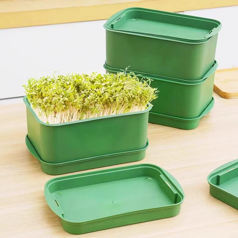 (.) Plateau de germination pour graines
