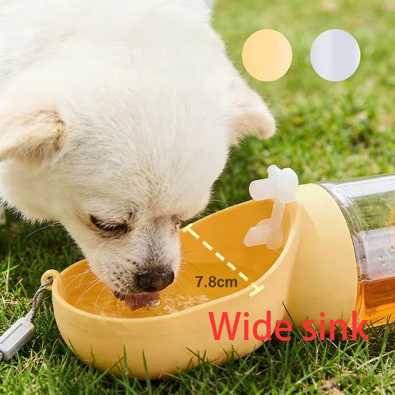 Bouteille d'eau pour chien