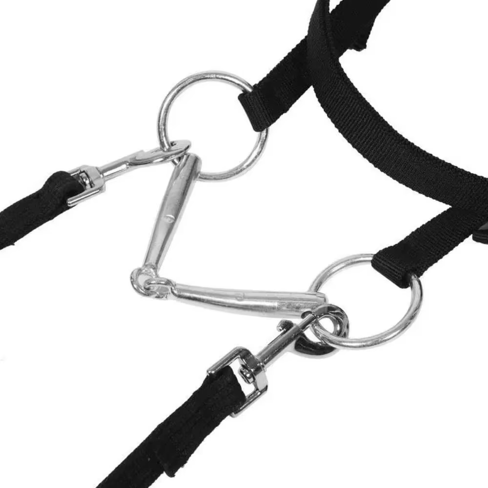 Licouets de cheval épais, sangle réglable et confortable, civière de cou de cheval, bandeau de bride de cheval robuste et Durable