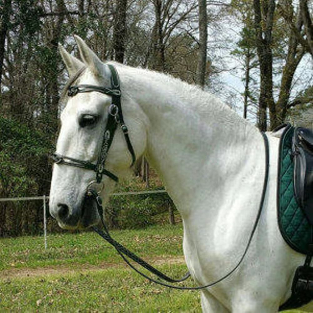 Bridon et Licol en Cuir PU avec Boucle Métallique pour Protéger la Peau du Cheval, Harnais de Conduite Confortable et Réglable pour Cheval