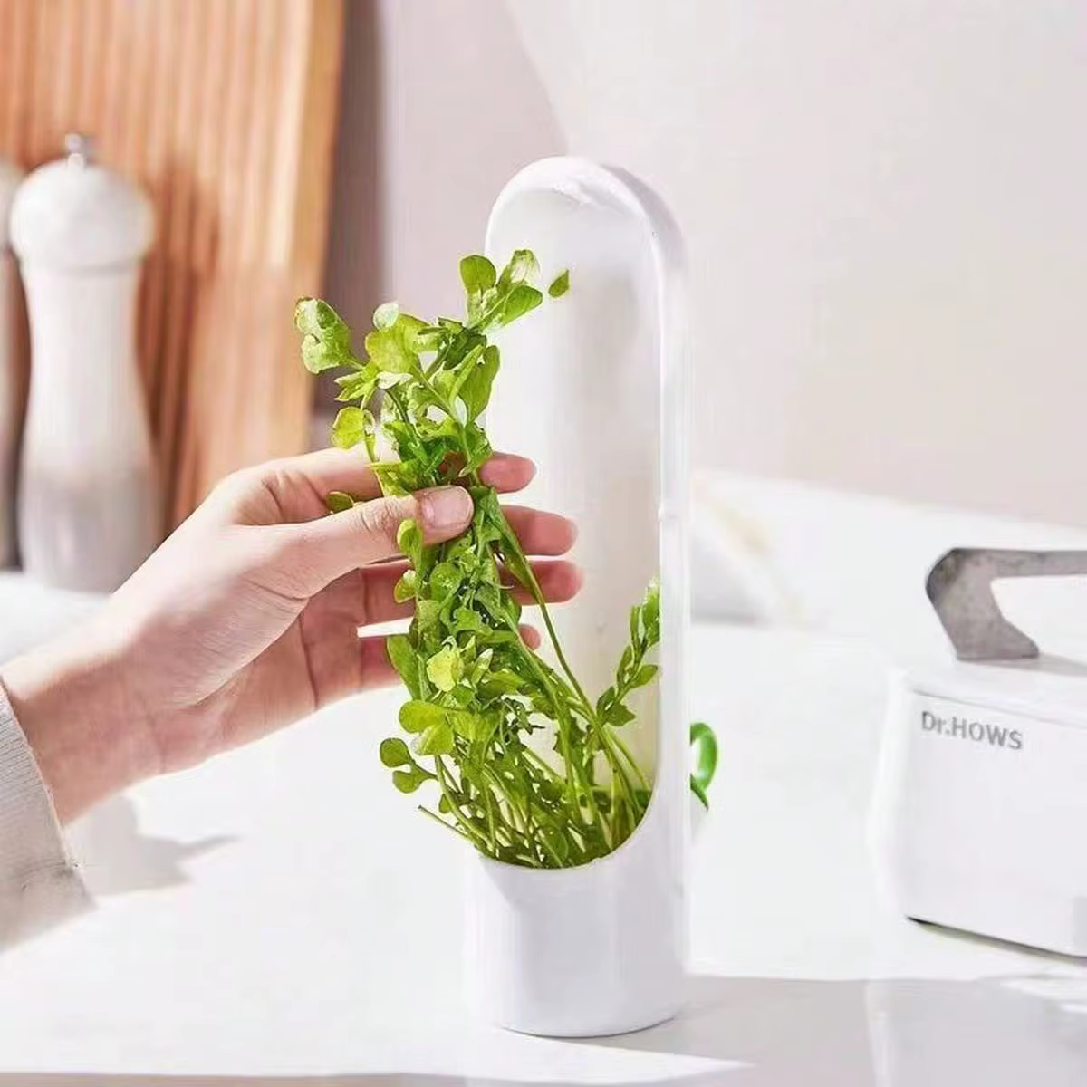 Conteneur de stockage de bouteilles de conservateur de légumes frais