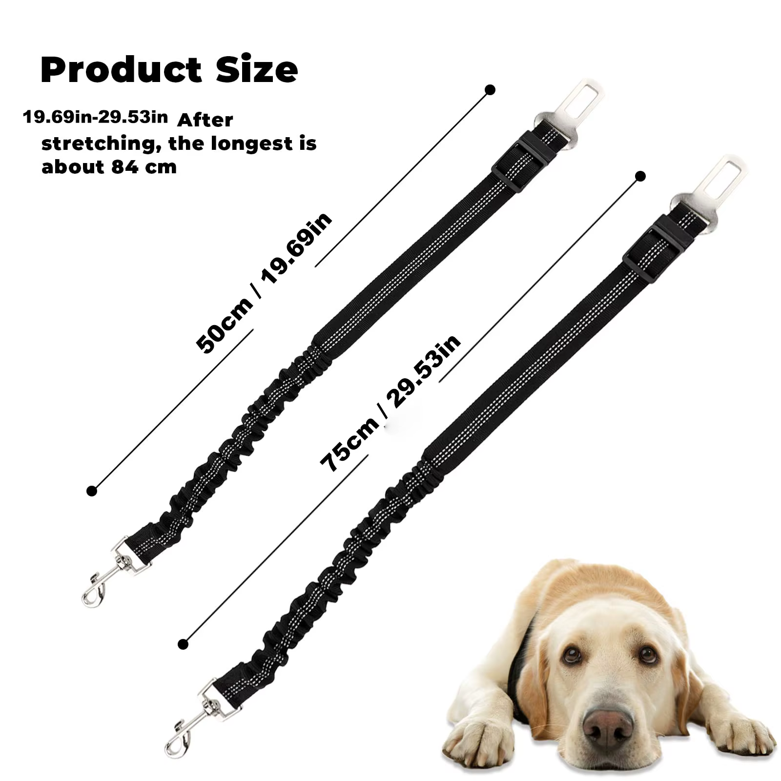 Ceinture de sécurité pour animaux de compagnie