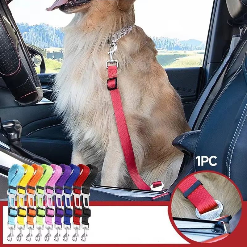 Ceinture de sécurité pour animaux de compagnie