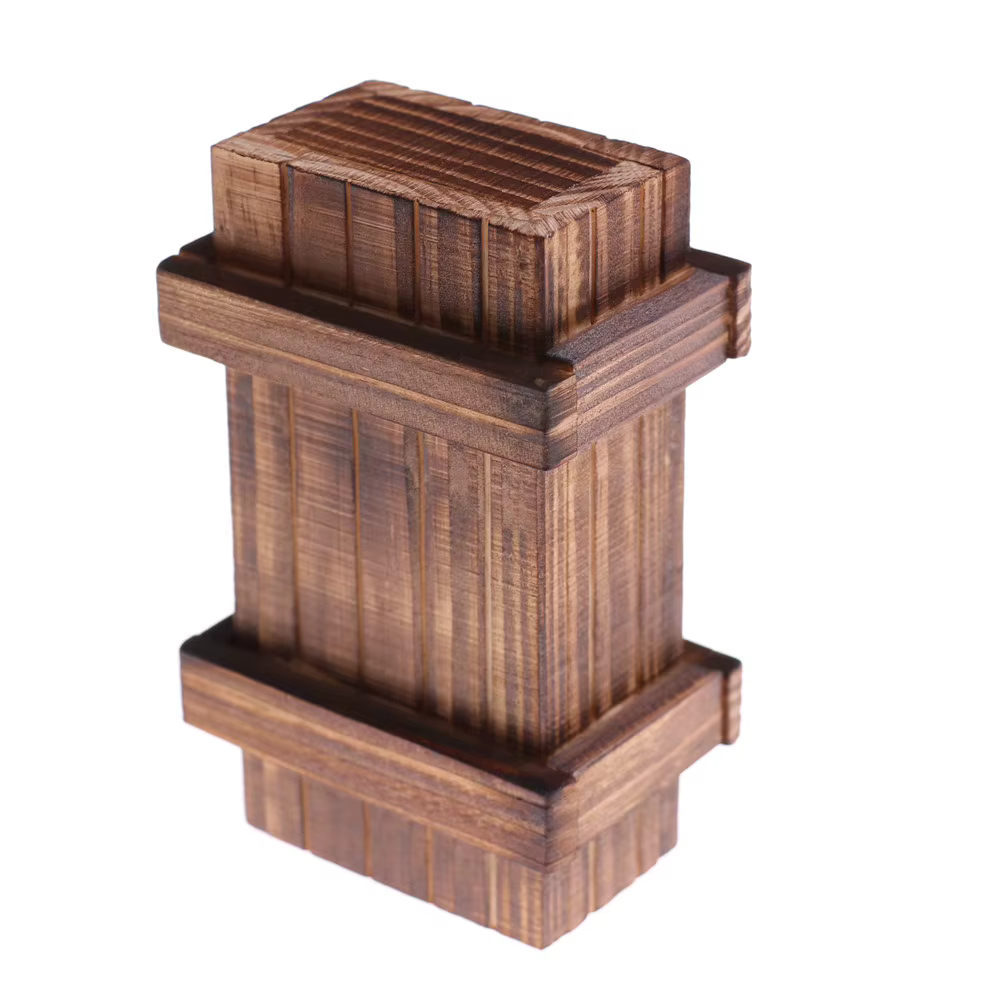 Boîte de Puzzle en Bois à Compartiment Magique avec SecExamen MELBrain Teaser